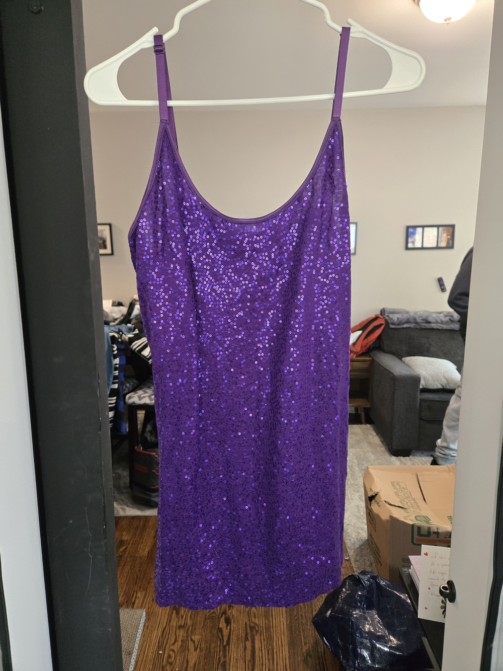 Dots Purple Sequin Camisole